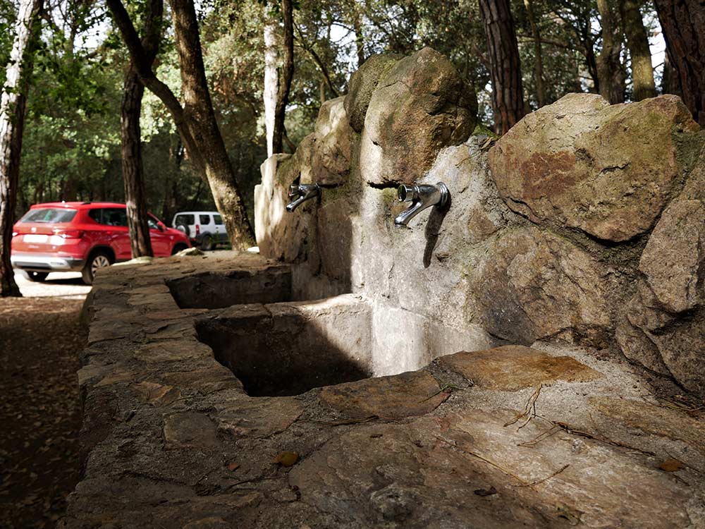 merenderoelsangels_foto (45)